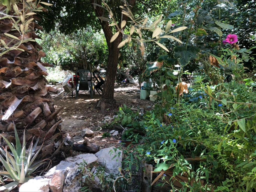 One Bedroom Stone Apartment Ιερουσαλήμ Εξωτερικό φωτογραφία